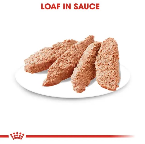 Royal Canin Yorkshire Pouch - Пълноценна мокра храна в пауч за Йоркширски териери в зряла възраст над 10 месеца